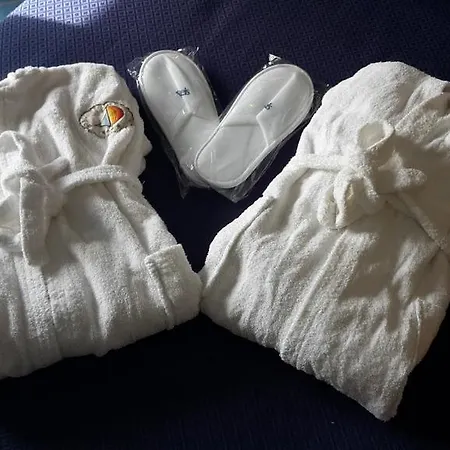 亚拉贡宫温泉酒店 4*