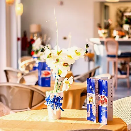 亚拉贡宫温泉酒店 酒店 伊斯基亚